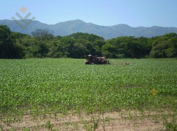 Campo · 1000000m² · Oportunidad - Campo en Venta en Rosario de La Frontera