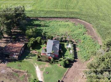 Campo · 1130000m² · Campo en Venta de 113 Has en Balcarce 90 % Agrícola - Suelos Clase 1 y 2