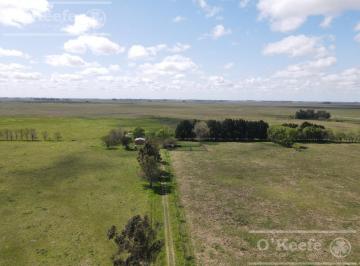 Campo · 1330000m² · 1 Dormitorio · Campo en Venta 133 Has en Magdalena - Mixto.