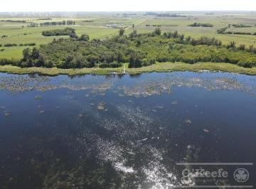 Campo · 150m² · 3 Ambientes · Campo en Venta en Lezama - 530 Ha Ideal Turismo Rural con Laguna. Pesca - Retasado