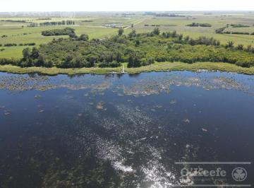 Campo · 150m² · 3 Ambientes · Campo en Venta en Lezama - 530 Has Ideal Turismo Rural con Laguna. Pesca - Retasado