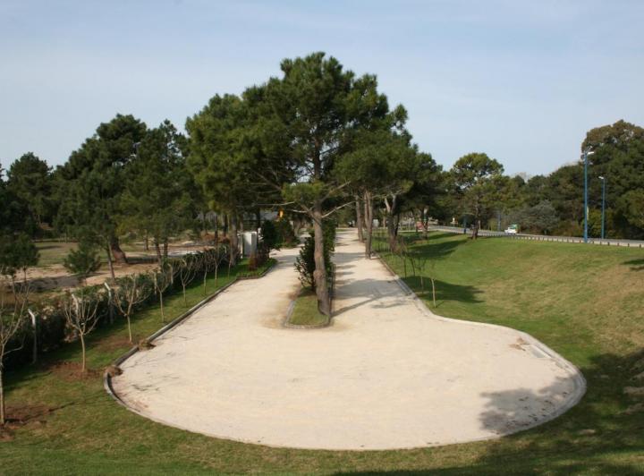 Terreno · 100m²