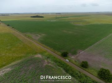 Campo · 107ha · Campo de 107ha en Venta en General Madariaga