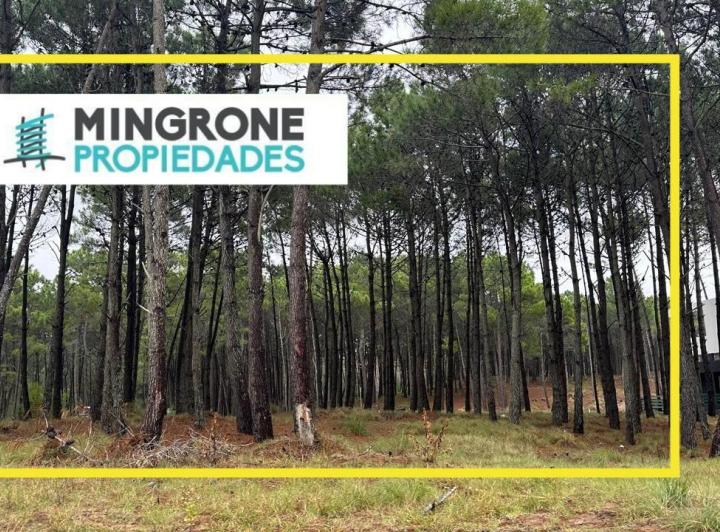 Terreno · 851m²