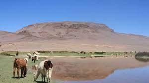 Campo · 1ha
