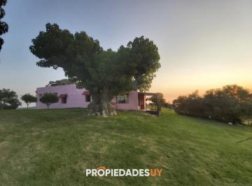 Foto1 · Venta de Establecimiento de 266 Ha en Paraje Sierras de Carapé.