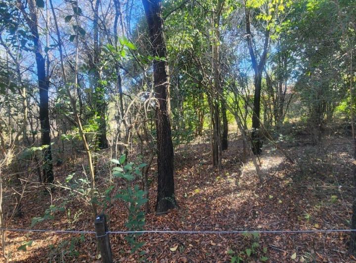 Terreno · 1024m²