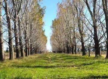 Campo · 770000ha · Campo en Venta de 77 Has en Saladillo - Agricola Ganadero