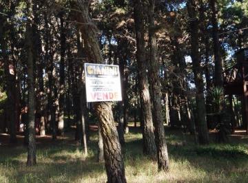 GIA-GI3-2739_2 · Lote. | Parana
