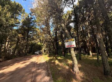 GIA-GI3-2739_2 · Lote. | Parana