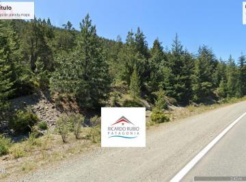 Campo · 10000m² · Chacra - Ruta 40 Norte
