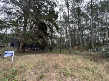 DEI-DEI-830_2 · Lote en Venta en Carilo