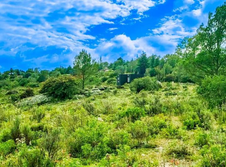 Terreno · 1136m²