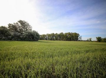 Terreno · 9384m² · Lotes a La Venta en Chacras de San Andres