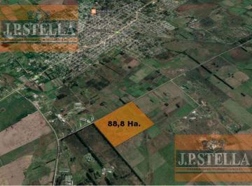 Campo · 88ha · Campo Industrial 88,8 Has - Ideal Emprendimiento Industrial Cat. 3 - Marcos Paz