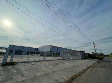 Bodega-Galpón · 12800m² · Fracción Industrial 4 Ha Galpón 12.800 m² Cub. - Carlos Spegazzini