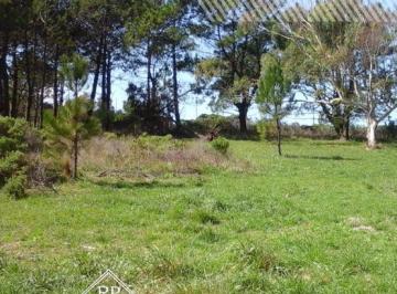 Terreno · 3310m² · Lotes Únicos de 3310 m² - Villa La Ribera - Río Carcarañá
