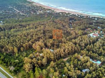 Foto1 · Terreno de 1.5 Has en La Pedrera, Para Desarrollo Inmobiliario