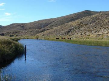 Campo · 6938ha · Campo Sobre Río Pichileufu, Río Negro. Ruta 40 Vieja - Bariloche