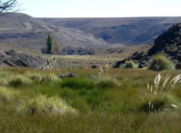 Campo · 69380000m² · Campo Sobre Río Pichileufu, Río Negro. Ruta 40 Vieja - Bariloche