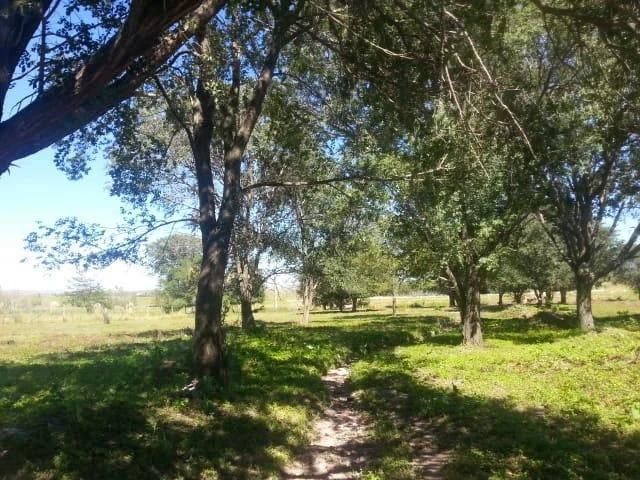 Terreno · 10000m²