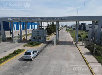 Terreno · 5500m² · Lote 5500 m² en Venta - Pitec - Parque Industrial - Florencio Varela