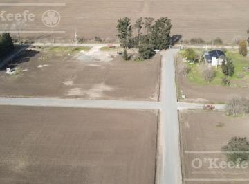 Terreno · 303m² · Lotes en Venta en El Pato - Berazategui - Terrenos Desde 295 m²