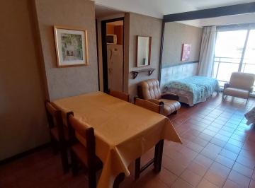 Departamento de 1 ambiente, Mar del Plata · 1 Amb - Plaza Colon