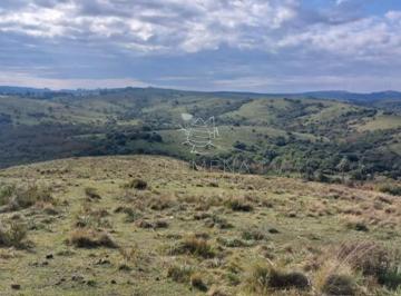 Foto1 · Campo de 80 Has en Paraje Carape con Costa de Arroyo.