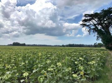 Campo · 15m² · Venta Campo Agricola en Miramar, General Alvarado