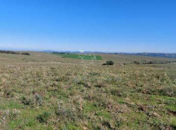 Foto1 · Campo 14 Has a Pocos Km de Pueblo Eden