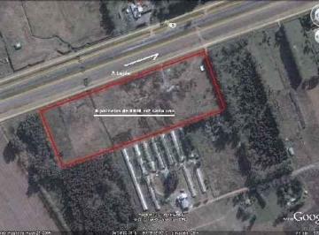 Terreno · 8000m² · Lote | Ruta 5