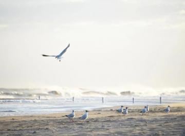 Terreno · 1100m² · Terreno en Marítimo 2, Costa Esmeralda, Primera Línea Al Mar