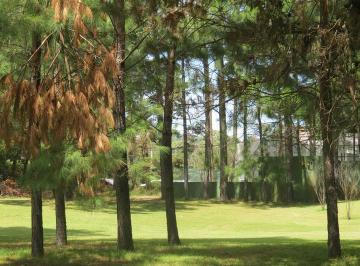 Terreno · 7325m² · Uruguay, Maldonado, Punta Ballena.
