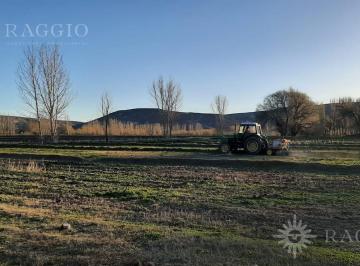 Terreno · 30000000m² · Terreno de 3000 Ha con Casa Local en El Pueblo, Río Chico, Río Negro (Fc - 226)