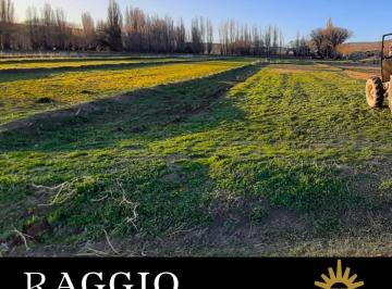 Terreno · 3000ha · Terreno de 3000 Ha con Casa Local en El Pueblo, Río Chico, Río Negro (Fc - 226)