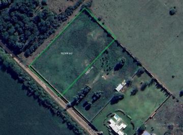 Campo · 20000m² · 1.1 Hectárea en Calle Botta, con Paredòn Perimetral y Porton de Ingreso. a m de Ruta N 205.cañu