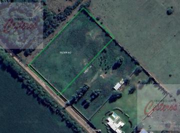 Campo · 20000ha · 1.1 Ha en Av Botta, a m de Ruta N 205.cañuelas