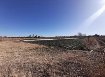 Foto · Venta Campo Colonia Tirolesa