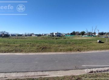 Terreno · 601m² · Excelente Lote en Venta en San Juan Chico Fondo a Laguna Hudson Berazategui