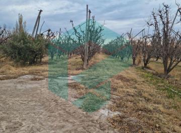 BAE-BAE-42_2 · Campo Hectáreas |. | Allen