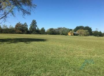 Terreno · 5400m² · Venta de Lote en El Barrio La Ranita