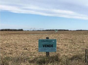 Campo · Chacra en Venta - 12 Has - Madariaga