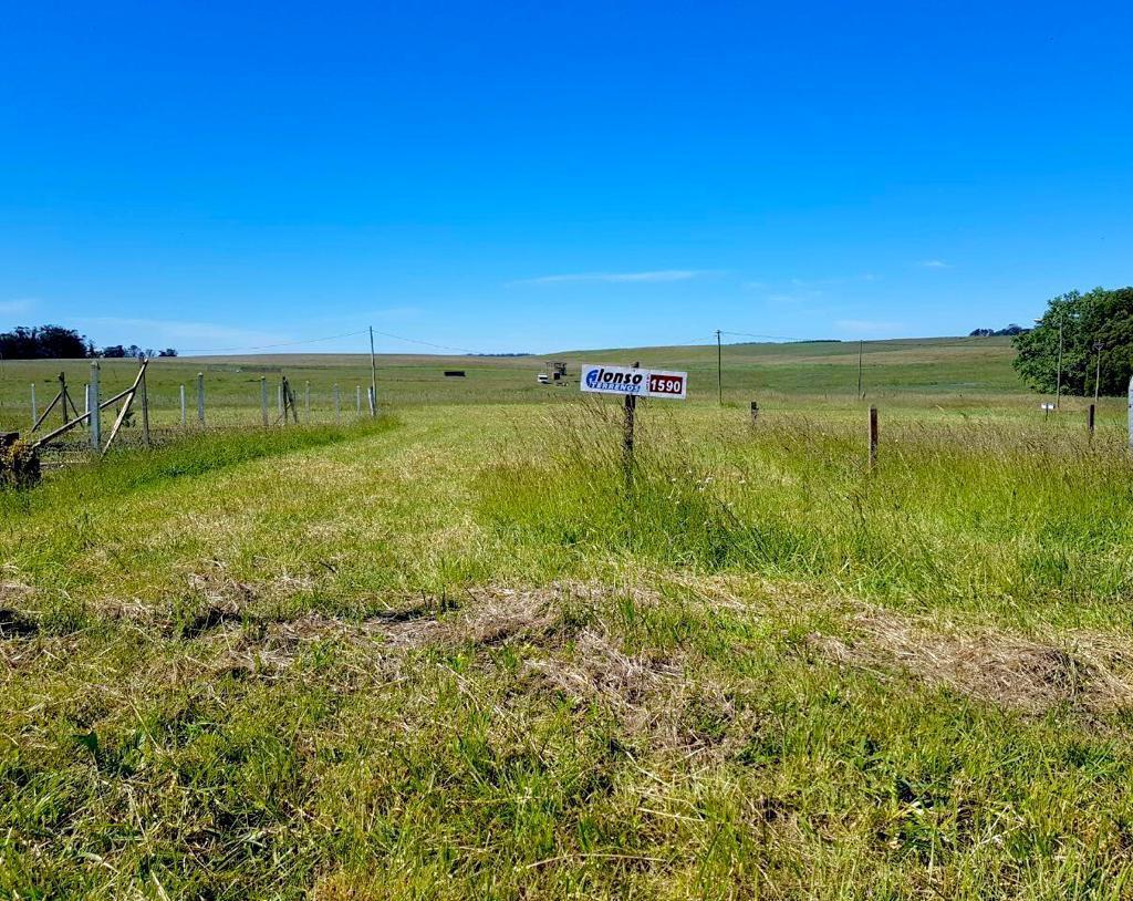Lote de terreno en barrio los Lobos. Calle las ballenas Y los salmones