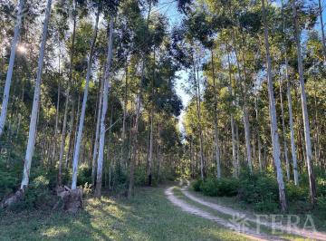 Campo · 2000000m² · Venta de Campo en Santa Rosa - Concepción, Corrientes