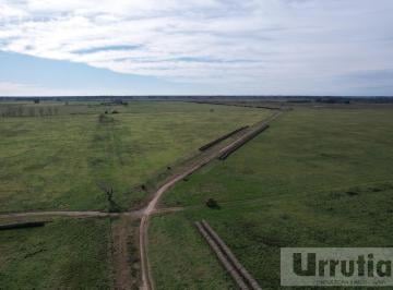 Campo · 10140000m² · Campo en Venta General Rodriguez, Ruta 6