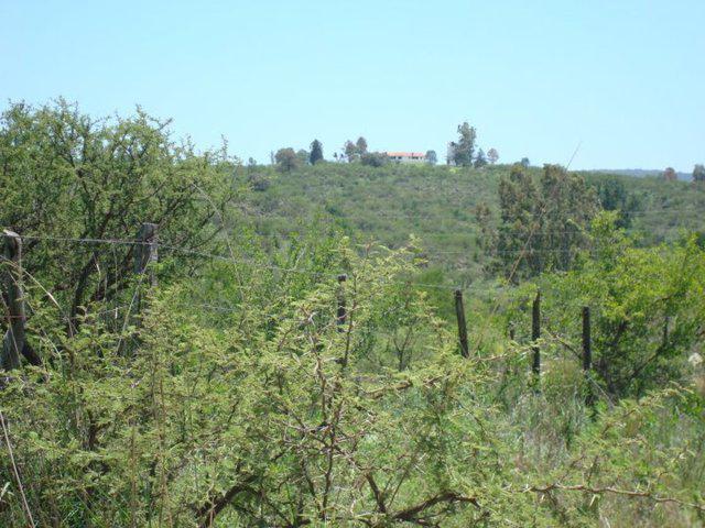Terreno · 50000m²