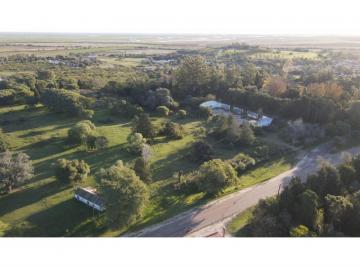 Terreno · 21700m² · Excelente Terreno Sobre Ruta, Parquizado, 21.700 m (Frente a Abadia)