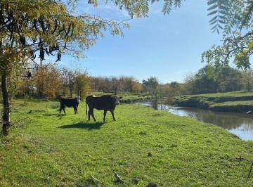 Campo · 360000m² · 1 Ambiente · Campo Mixto 36has San Nicolas
