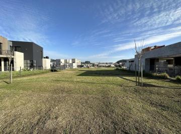 Terreno · 600m² · Terreno en Rumenco Joven